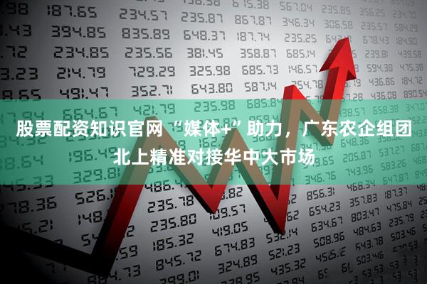 股票配资知识官网 “媒体+”助力，广东农企组团北上精准对接华中大市场