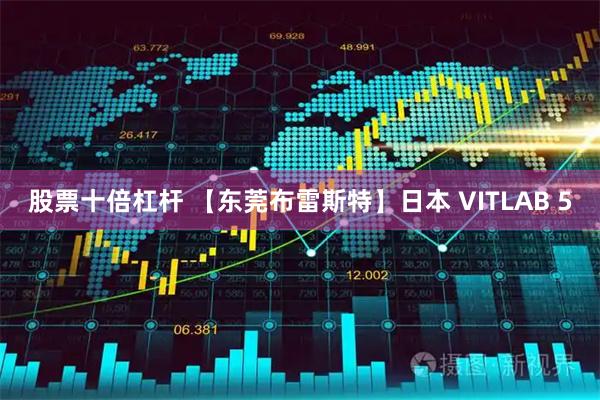 股票十倍杠杆 【东莞布雷斯特】日本 VITLAB 5