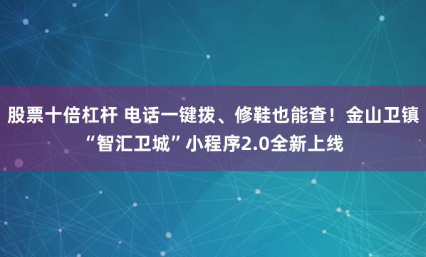 股票十倍杠杆 电话一键拨、修鞋也能查！金山卫镇“智汇卫城”小程序2.0全新上线