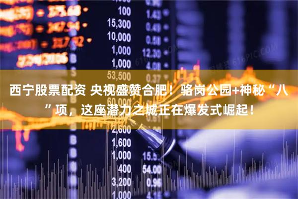 西宁股票配资 央视盛赞合肥！骆岗公园+神秘“八”项，这座潜力之城正在爆发式崛起！